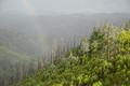 Distant Rain