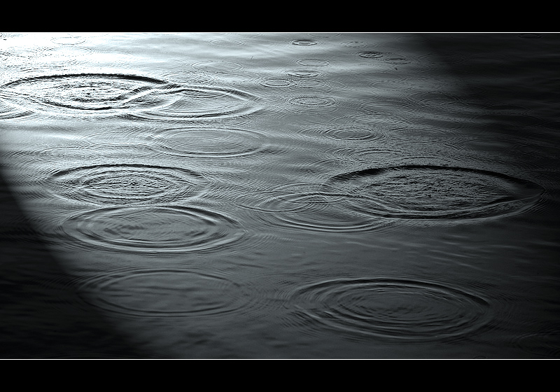 Reflect