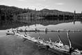 Herrick Reservoir