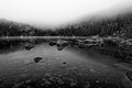 Foggy day at Bear Lake