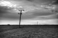 Pylons, South Downs, East Sussex