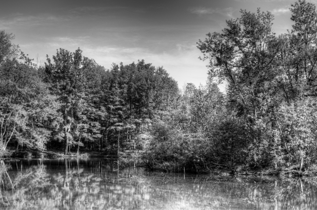 Pond at Parker Meadow