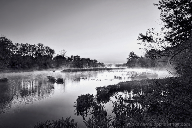 Daybreak on Fogerty Creek