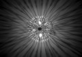 Use your IMAGINATION and guess what this could be...