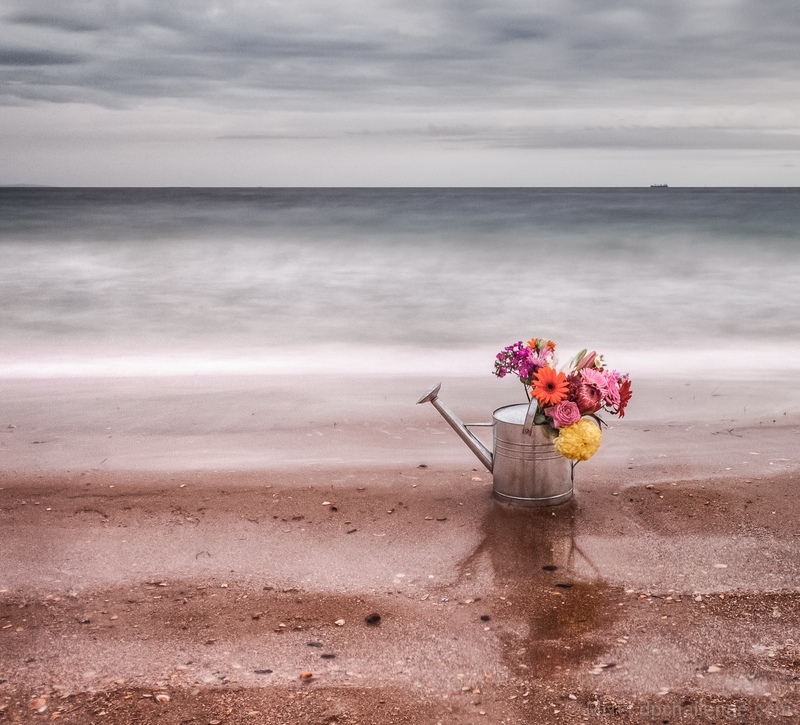 imagine.. watering the ocean