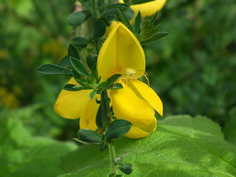 DSCF9273 A