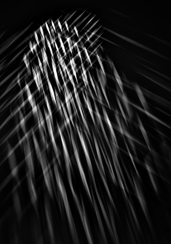 Stellar collisions