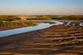 Early Morning Ebb - Mud Field And Marsh, Race Point