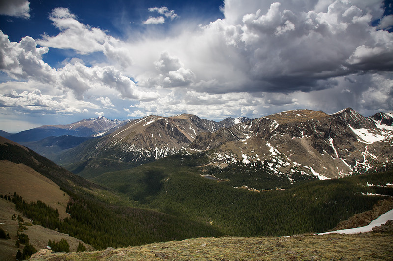 Forest Canyon