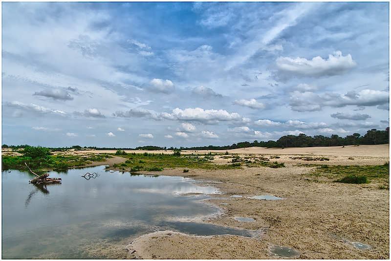 The Last Watering Hole