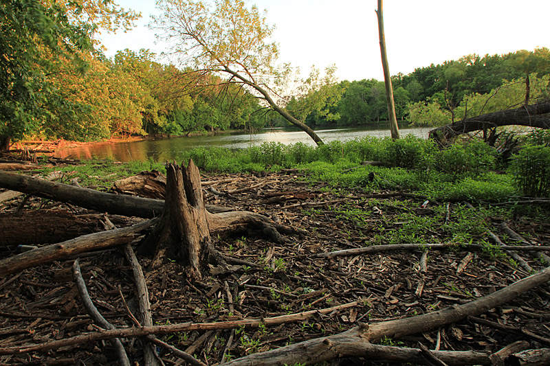 Along the Bank