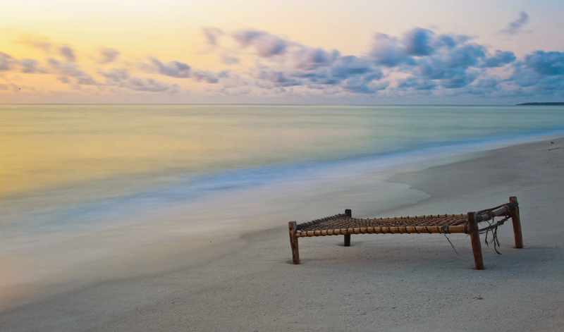 Planted in the sand on paradise beach