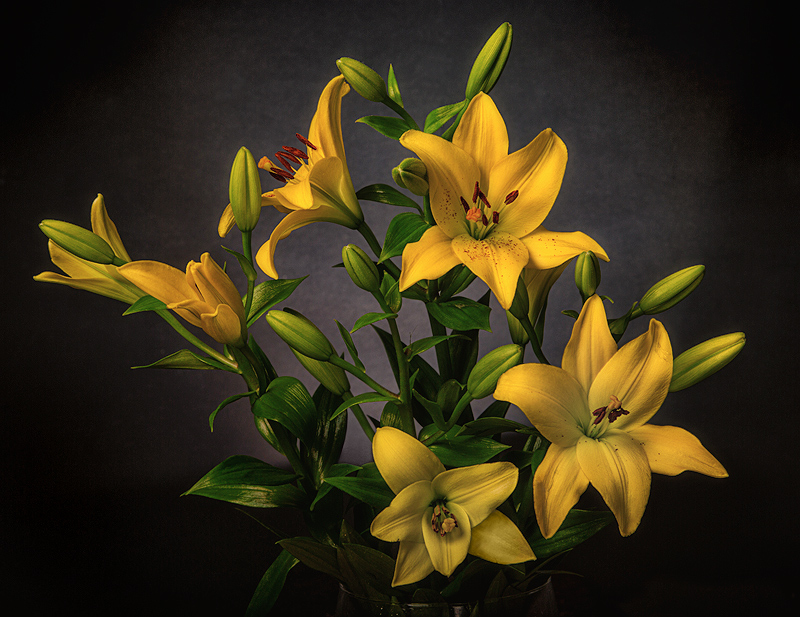 Lilies for you Shez