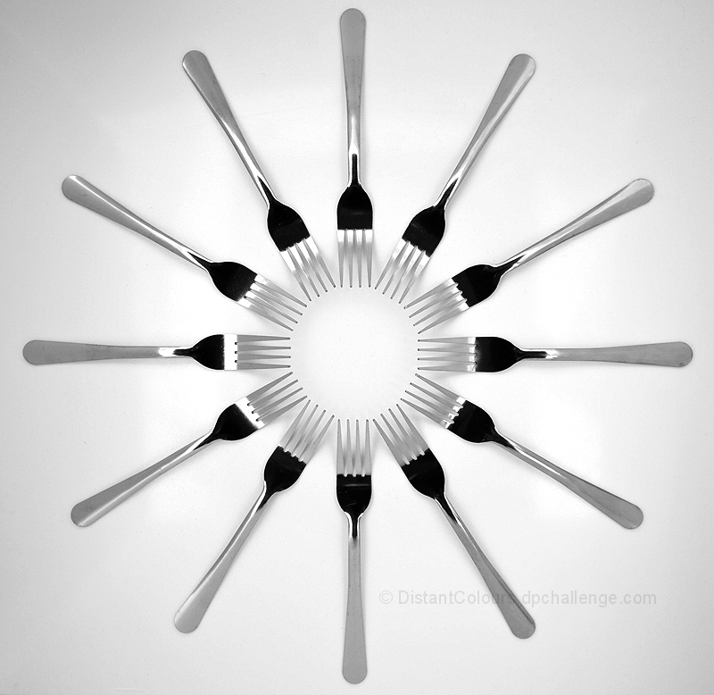 Circle Tine