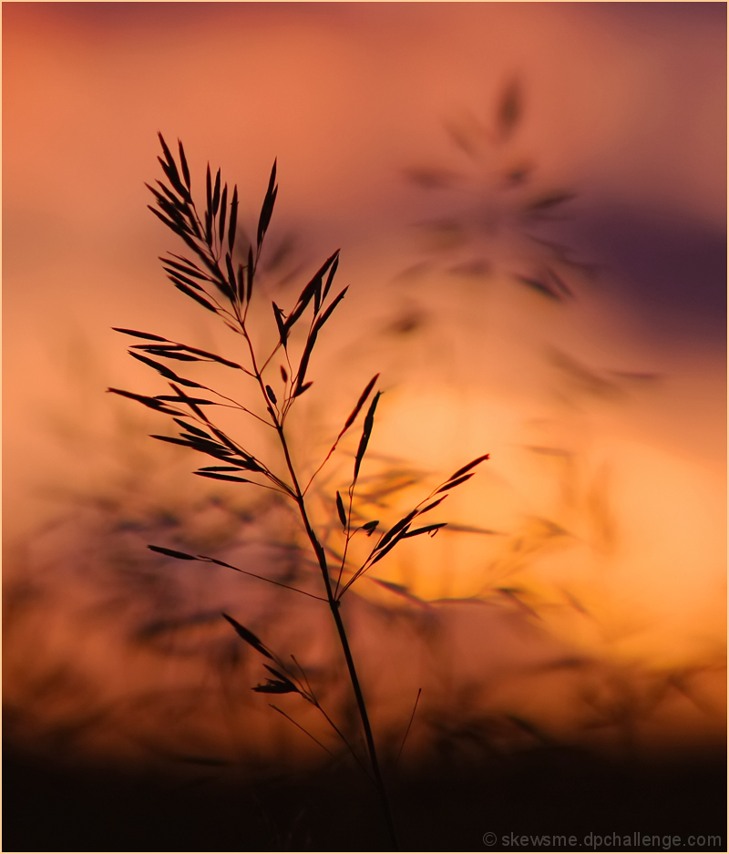 The Disappearance of the Sun
