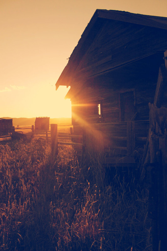 deserted abode