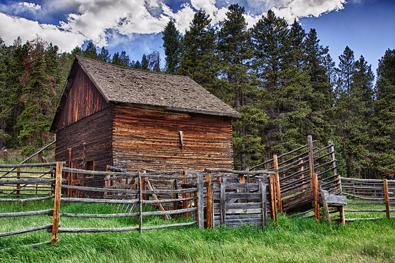 Horses Long Gone, Barn Door Now Shut