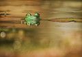 Reflecting