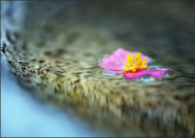 adrift
