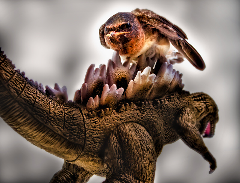 BirdZilla