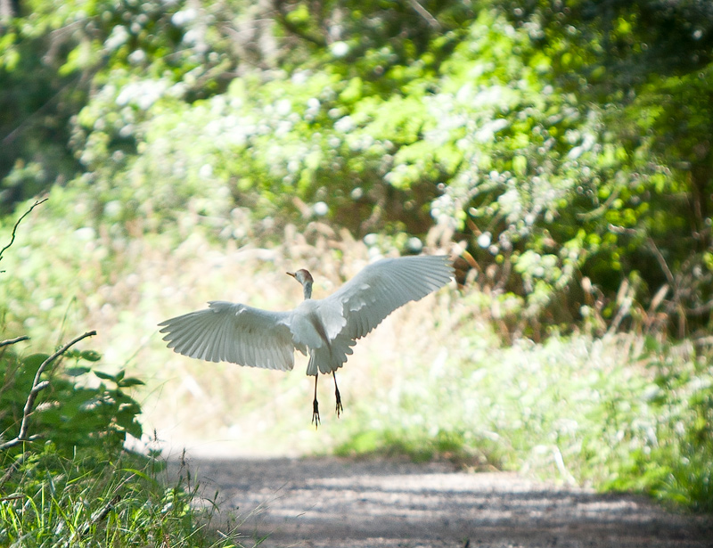 Smooth Landing