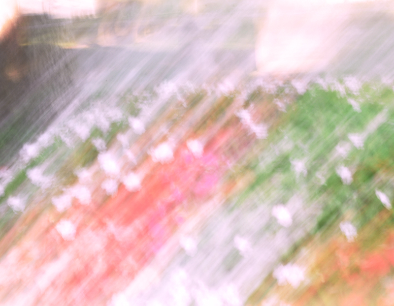 Floral Froth