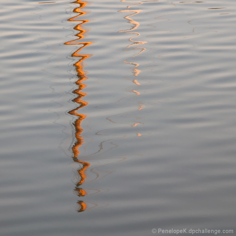 The Path Follows the Stream