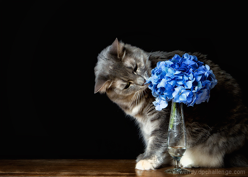 Don't forget to stop and smell the flowers