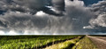 Brewing Storms