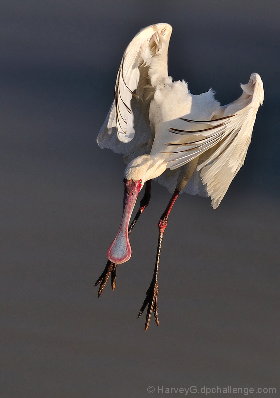 VTOL - Vertical take-off and landing