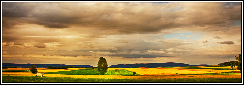 Green Fields