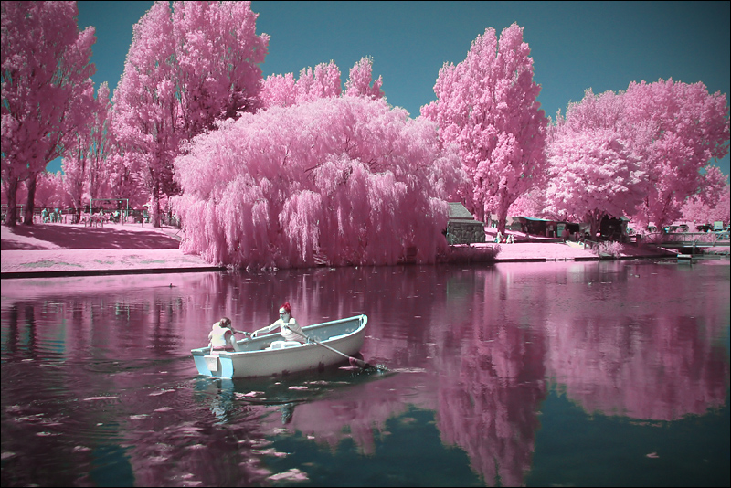 Candyfloss Lake