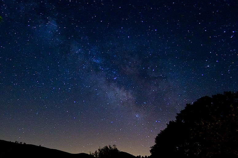 Night Sky
