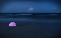 A strange tide