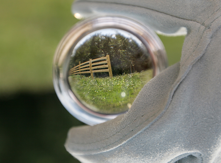 Through the Looking Glass
