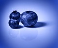 Blueberry (898715)