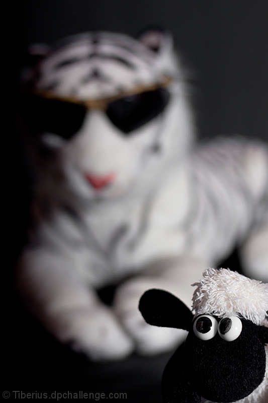 Yes... You arrre cool! (IMAGE_ID=1005506)