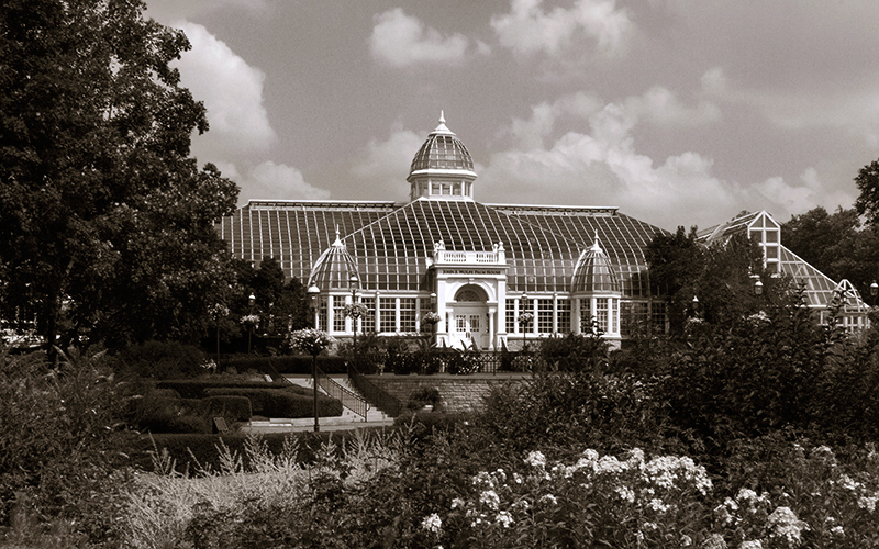 Palm House