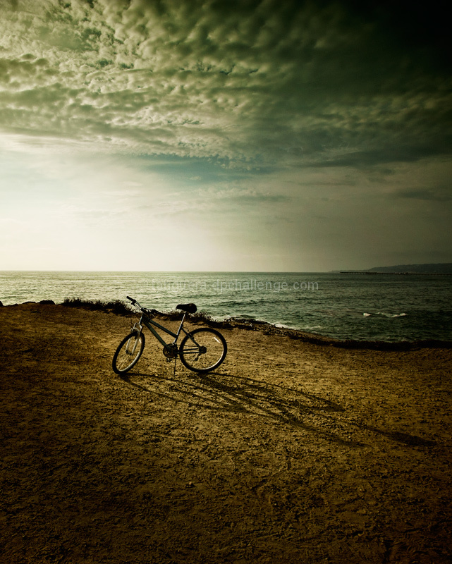 moment in the sun