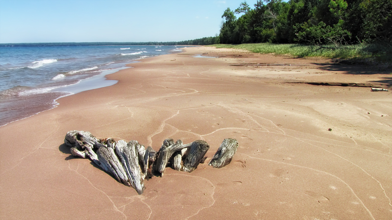 Driftwood