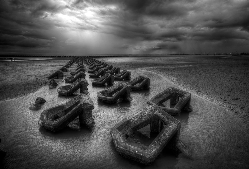 Seaside Sentinels