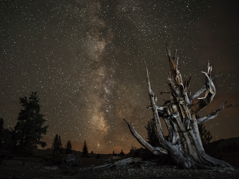 Under the Milky Way