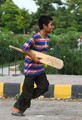 Cricket Fever