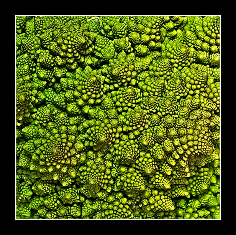 Romanesco Cauliflower