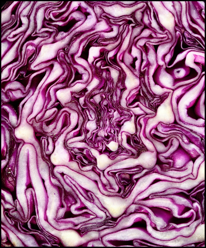 Purple Fusion