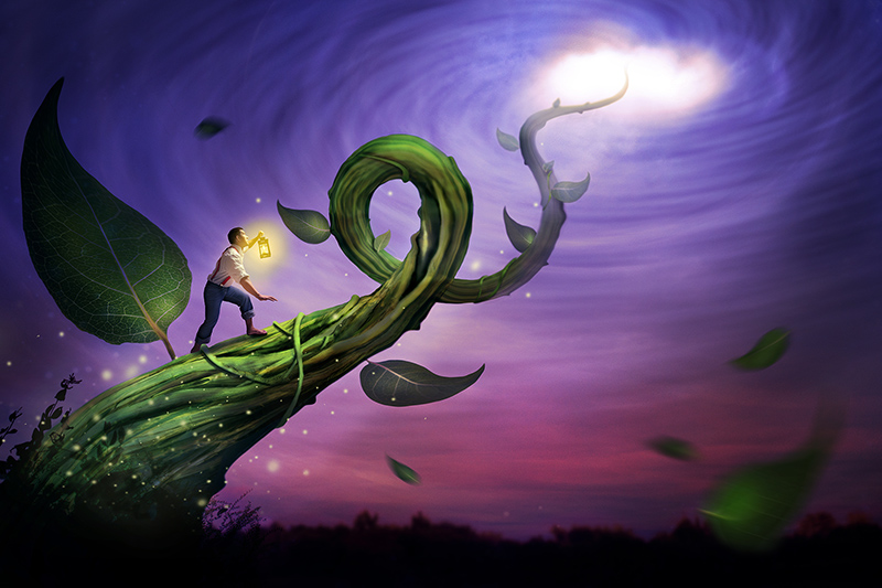 Jack and the Beanstalk