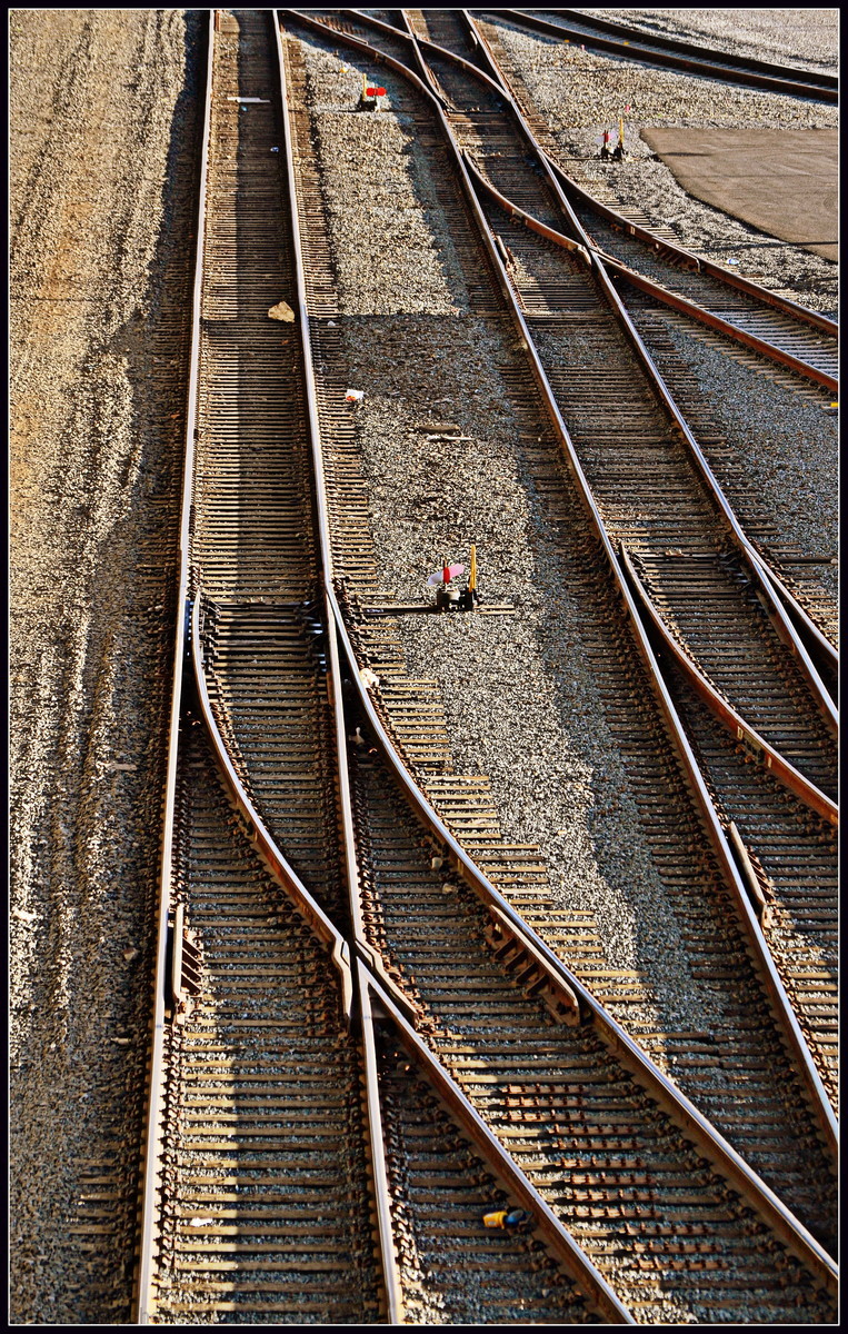 Walk the Line