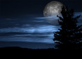 Blue Moon