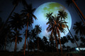Once in A Blue Moon