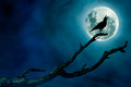 Vollmond